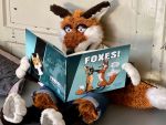 FOXES! Foxes Everywhere! Hardcover Artbook