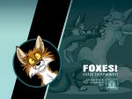 FOXES! Foxes Everywhere! Hardcover Artbook